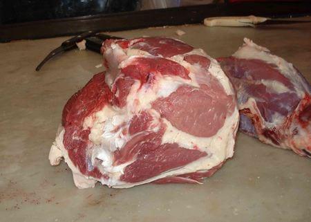 Hiper proteínas en terneros Holandos - Image 8