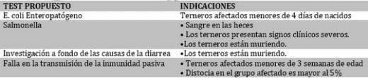 Manejo de la diarrea neonatal en terneras - Image 2