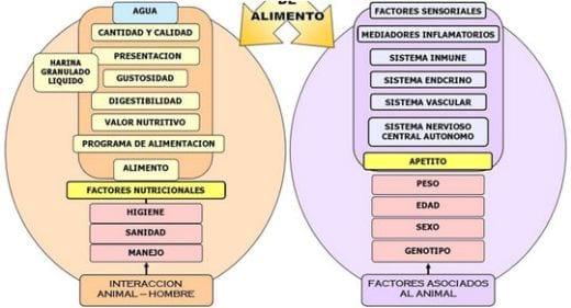 Factores que afectan el consumo y la nutrición del lechón tanto neonato como destetado - Image 5
