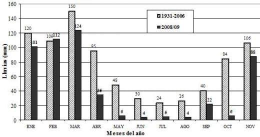 Efecto de diferentes fuentes nitrogenadas en un cultivo de cebada - Image 1