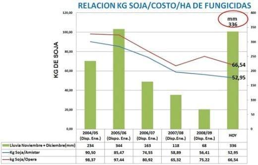 La Soja, los fungicidas y el Ambiente - Image 1