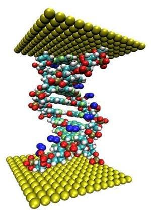 Los nucleótidos empiezan a revolucionar la nutrición en la agricultura y acuacultura - Image 1