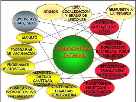 Elementos requeridos para un diagnóstico de Laboratorio - Image 1