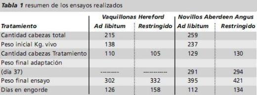 Estrategias de alimentación para el engorde a corral. Programas de restricción de consumo. Experiencias locales. - Image 1