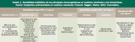 Tratamiento de las infecciones respiratorias del porcino, Características de la doxiciclina y ventajas de la protección BMP - Image 2