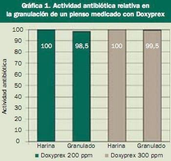 Tratamiento de las infecciones respiratorias del porcino, Características de la doxiciclina y ventajas de la protección BMP - Image 3