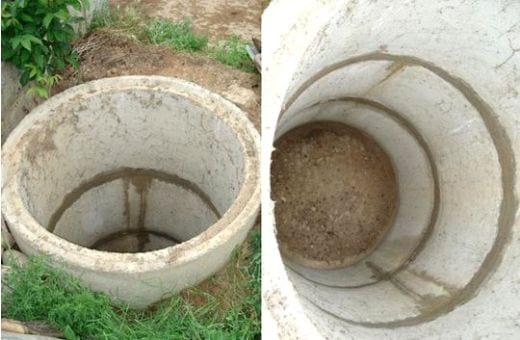 Recomendaciones prácticas para reducir el Impacto Ambiental en granjas porcinas. La Gestión de los cadáveres - Image 4