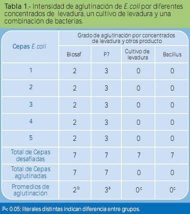 Análisis comparativo en la capacidad de aglutinación de cepas de Escherichia coli y Salmonella spp, por diferentes concentrados de la levadura Saccharomyces cerevisiae y otros productos comerciales - Image 1