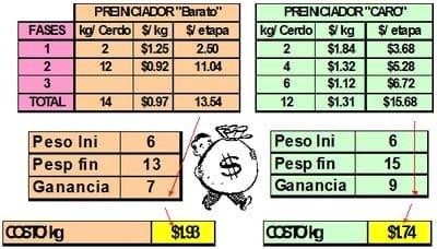 Nutrición rentable del lechón moderno. Parte II: Hagamos cuentas. - Image 6