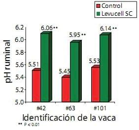 Estrés calórico y probióticos - Image 2