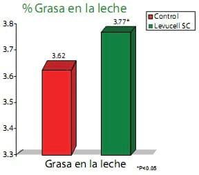 Estrés calórico y probióticos - Image 5