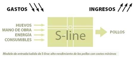 Gama S-line: Nuevos estándares en el proceso de incubación de carga única - Image 4