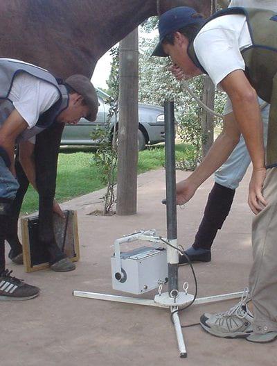 Herrador - Veterinario: Una ''simbiosis'' poco frecuente - Image 2