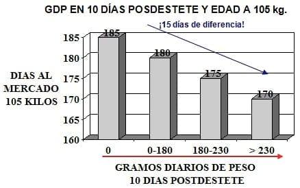 Nutrición rentable del lechón moderno (parte III). El impulso para el crecimiento - Image 3