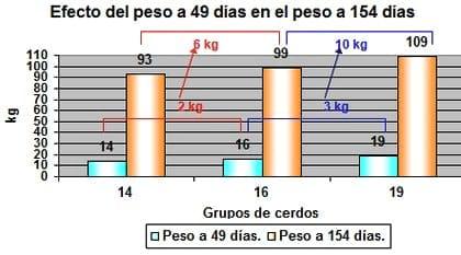 Nutrición rentable del lechón moderno (parte III). El impulso para el crecimiento - Image 5