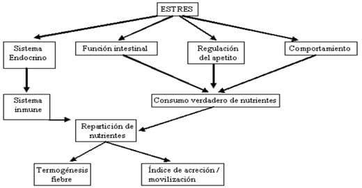 Neuroinmunoendocrinologia del estrés, Citoquinas y sistema endocrino (Parte III y IV) - Image 21