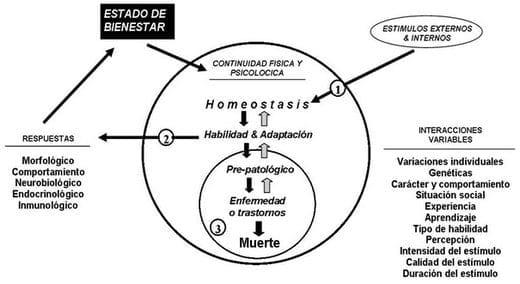 Neuroinmunoendocrinologia del estrés, Citoquinas y sistema endocrino (Parte III y IV) - Image 19