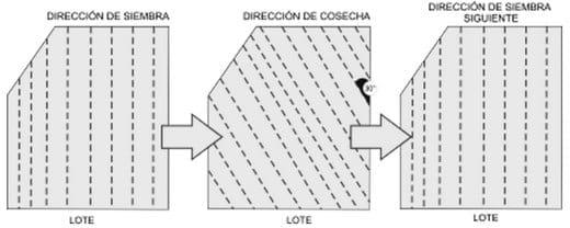 Consejos importantes para la cosecha del Trigo 2010 - Image 3