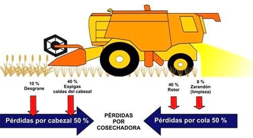 Campaña Cosecha de Trigo 2011, Consejos a tener en cuenta para cosechar con mayor eficiencia - Image 1