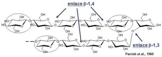 Combinar enzimas - Image 2