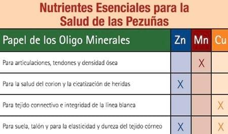 Las cojeras afectan la productividad de las cerdas - Image 2