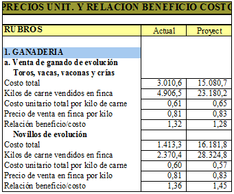 Evaluación de haciendas ganaderas, mediante el uso de un programa computacional - Image 29