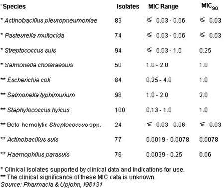 Programa Antibiotico en Lechones (EXCENEL™) - Image 1