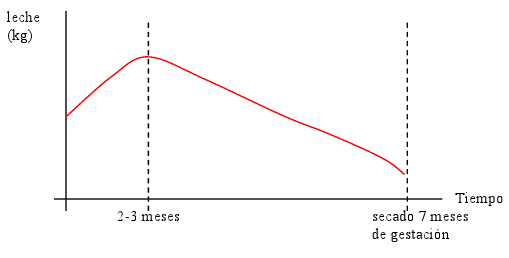 Análisis de la Lactancia - Image 2