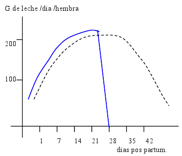 Análisis de la Lactancia - Image 10