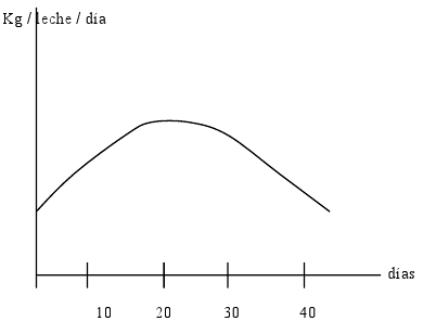 Análisis de la Lactancia - Image 5
