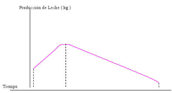 Análisis de la Lactancia - Image 3