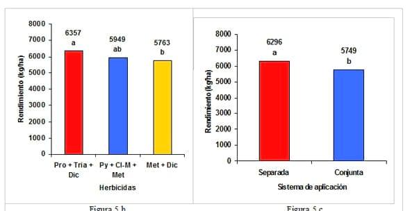 Evaluación de un fertilizante líquido nitrógeno-azufrado como transportador de herbicidas postemergentes en trigo. Eficiencia de control, fitotoxicidad y rendimiento - Image 6