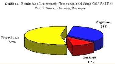 Estudio de leptospirosis en unidades de producción ovina en Irapuato Guanajuato, México - Image 4
