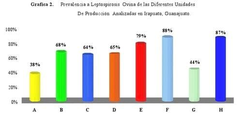 Estudio de leptospirosis en unidades de producción ovina en Irapuato Guanajuato, México - Image 5