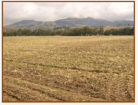 Evidencias de cambio climático en zonas suburbanas y rurales de Tunja - Image 7