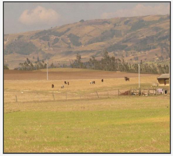 Evidencias de cambio climático en zonas suburbanas y rurales de Tunja - Image 11