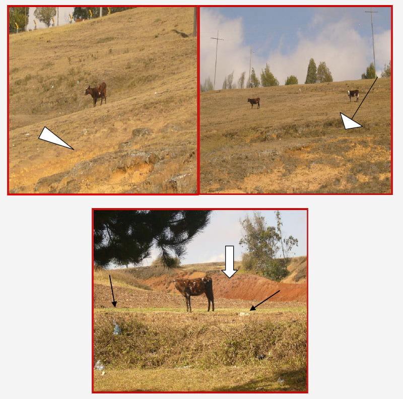 Evidencias de cambio climático en zonas suburbanas y rurales de Tunja - Image 12