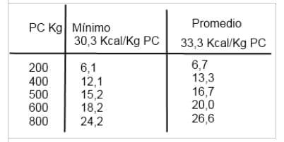 Nutrición Equina - Image 5