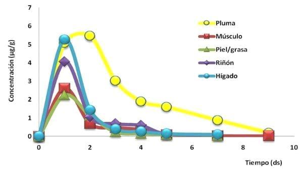 Depleción de enrofloxacina y su metabolito ciprofloxacina en tejidos comestibles y en plumas de pollos parrilleros - Image 1