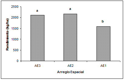Efecto del arreglo espacial en soja de segunda sobre el rendimiento - Image 1