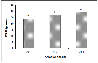 Efecto del arreglo espacial en soja de segunda sobre el rendimiento - Image 2