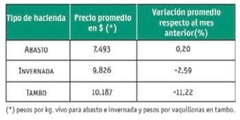 Crianza en guachera - Image 3