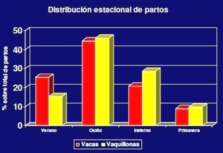 Crianza en guachera - Image 1