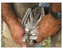 Tratamiento de un equino con Laminitis de los cuatro miembros curado con Homeopatía - Image 8
