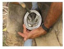 Tratamiento de un equino con Laminitis de los cuatro miembros curado con Homeopatía - Image 7