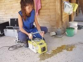 Generalidades y comentarios sobre el examen de compra en caballos - Image 2