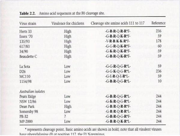 Epidemiología molecular de la enfermedad de newcastle - Image 3