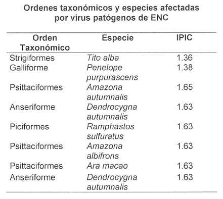 Epidemiología molecular de la enfermedad de newcastle - Image 5