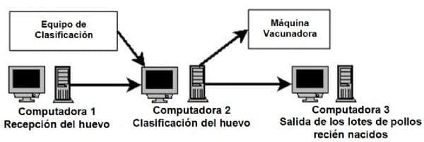 Desarrollo de un programa de cómputo de automatización destinado al manejo y control del huevo en empresas de incubación - Image 4