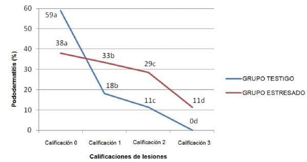 Incidencia de pododermatitis por contacto en pollos de engorde sometidos a estrés térmico - Image 3